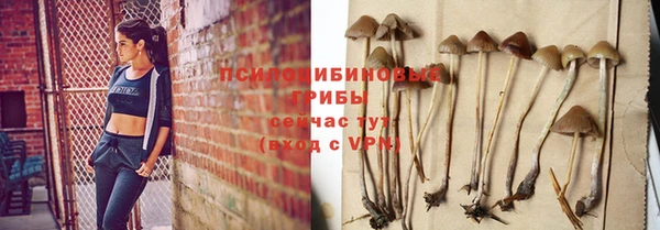 мяу мяу мука Медвежьегорск