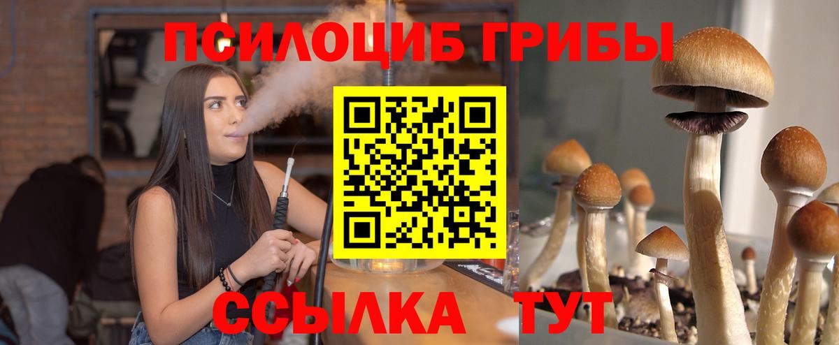 Галлюциногенные грибы Psilocybine cubensis  Вход с VPN  Сосновый Бор  Галлюциногенные грибы Magic Shrooms 